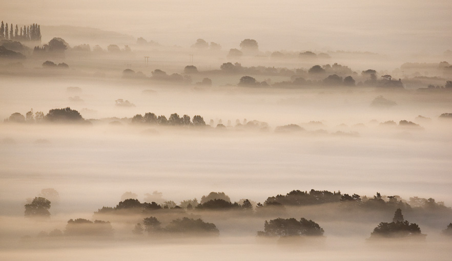 Tree tops poking through early morning mist, Malvern